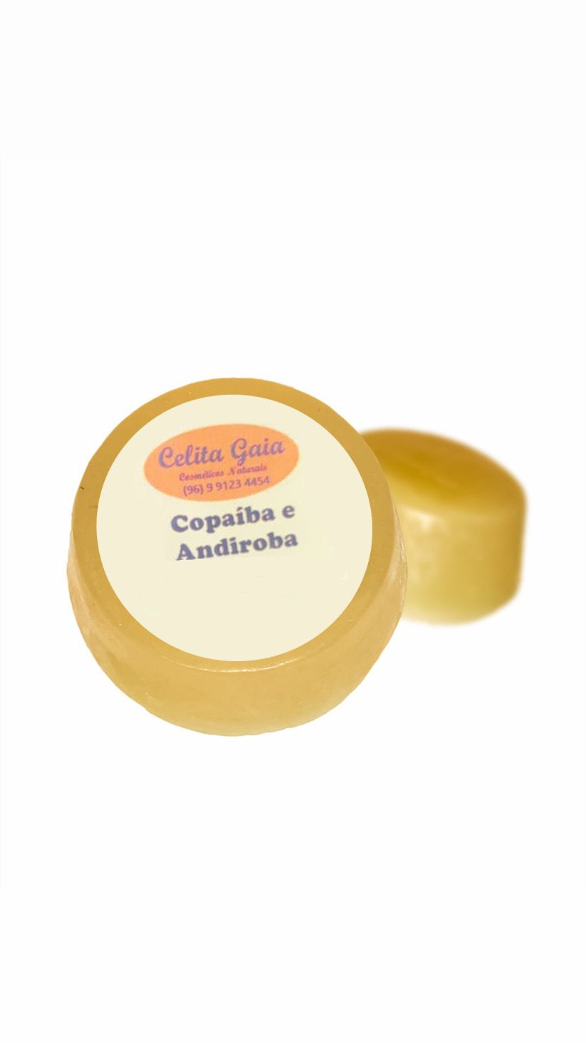 WhatsApp Image 2025-03-17 at 16.17.10