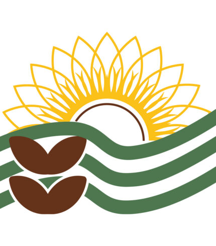 Sabores da Floresta: Uma Viagem Gastronômica pela Amazônia